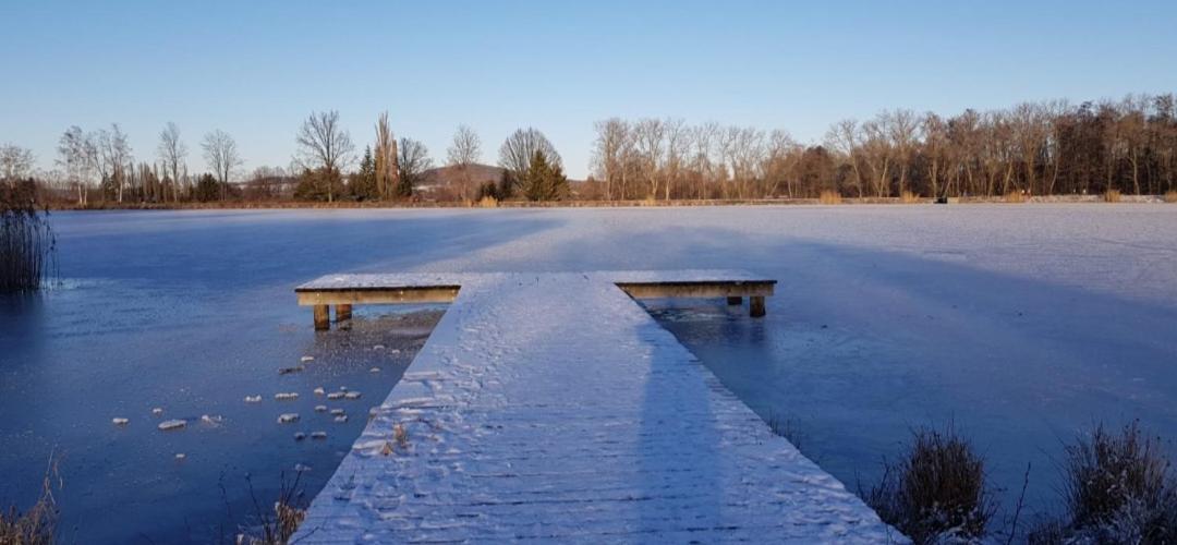 Chaloupky U Matusku Varnsdorf Quarto foto