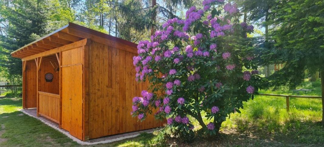 Chaloupky U Matusku Varnsdorf Exterior foto
